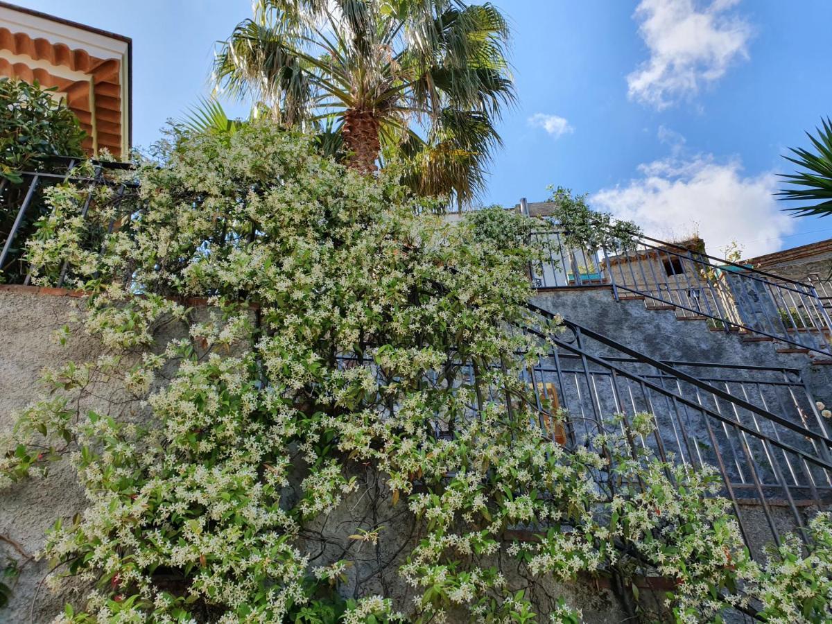Borgo San Francesco Hotel Gioiosa Marea Kültér fotó