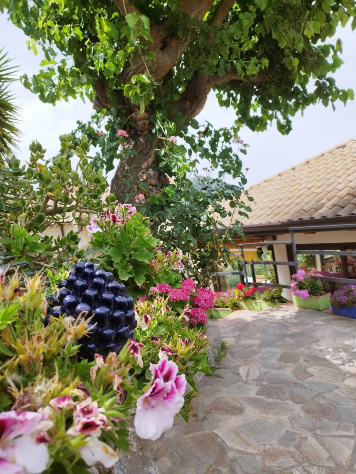 Borgo San Francesco Hotel Gioiosa Marea Kültér fotó